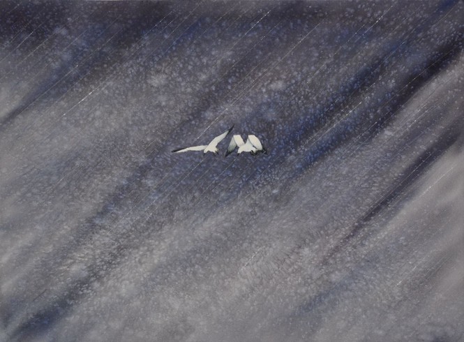 sea gulls in rain painting by david hayward