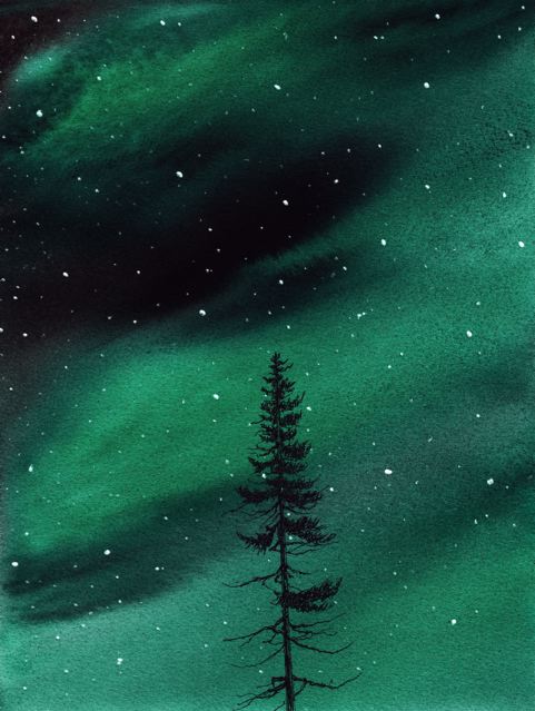 northern light tree painting by david hayward