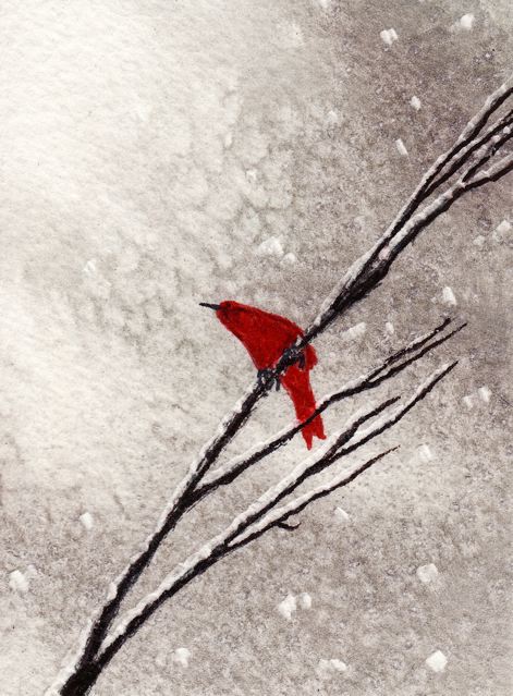 redbird snow